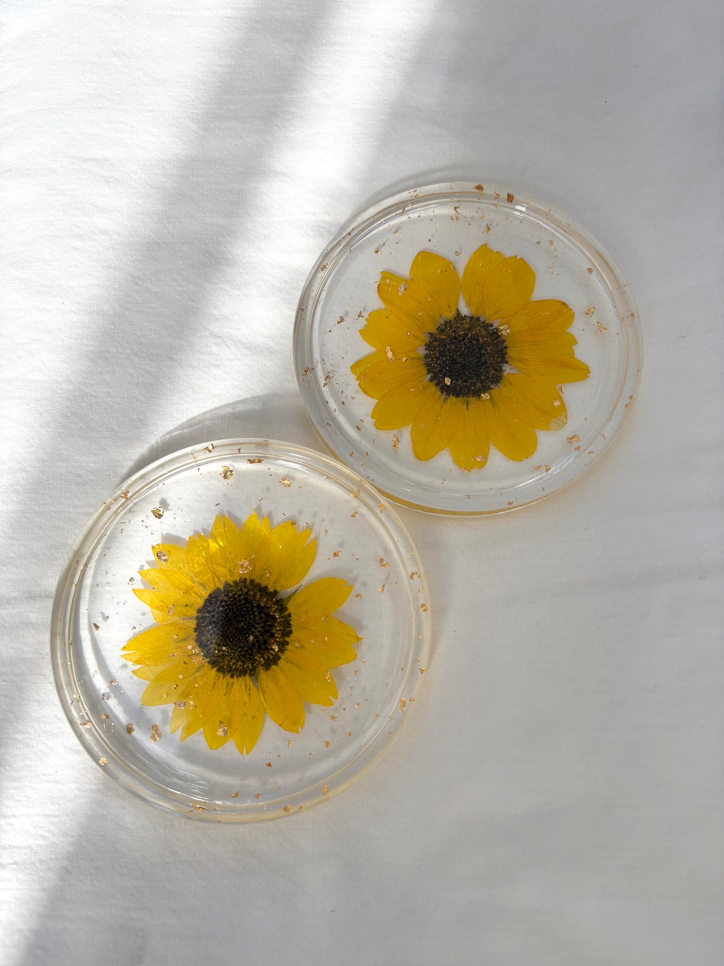 Sunflower Coasters
