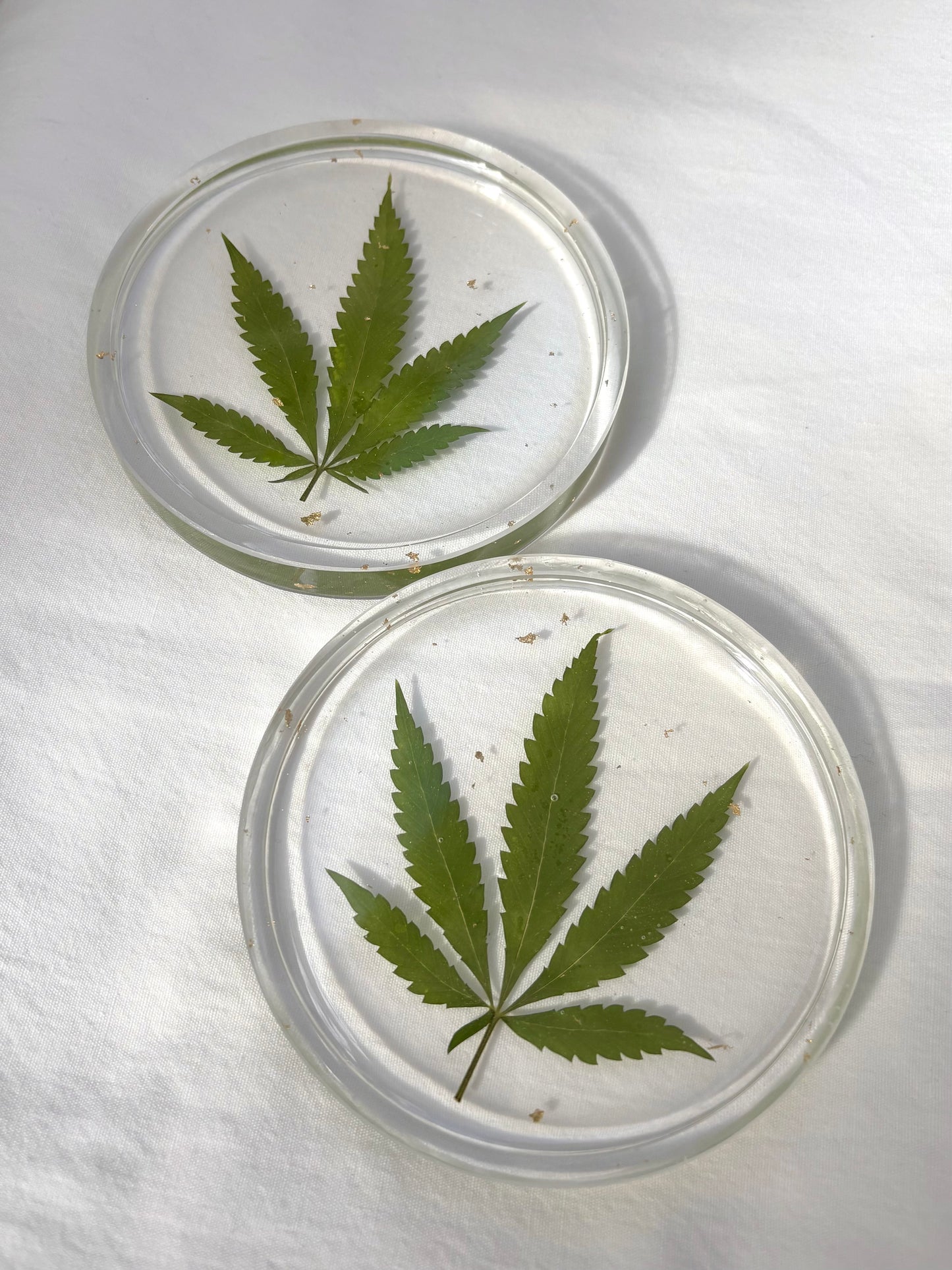 Hemp Leaf Coasters