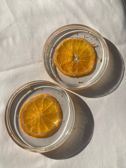 Orange Citrus Coasters