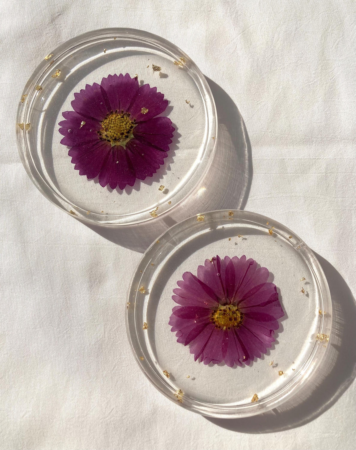 Pressed Flower Resin Coasters | Real Dried Floral Fruit Home Decor Set (Set of 2)