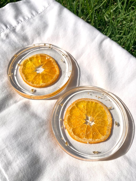 Orange Citrus Coasters