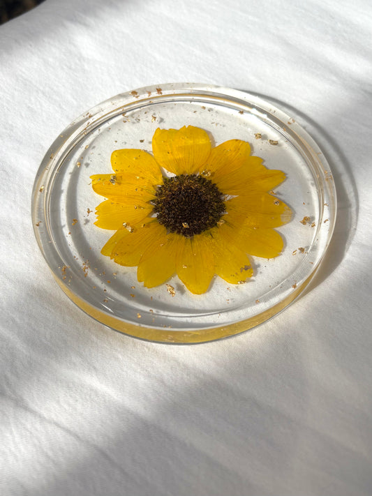 Sunflower Coasters
