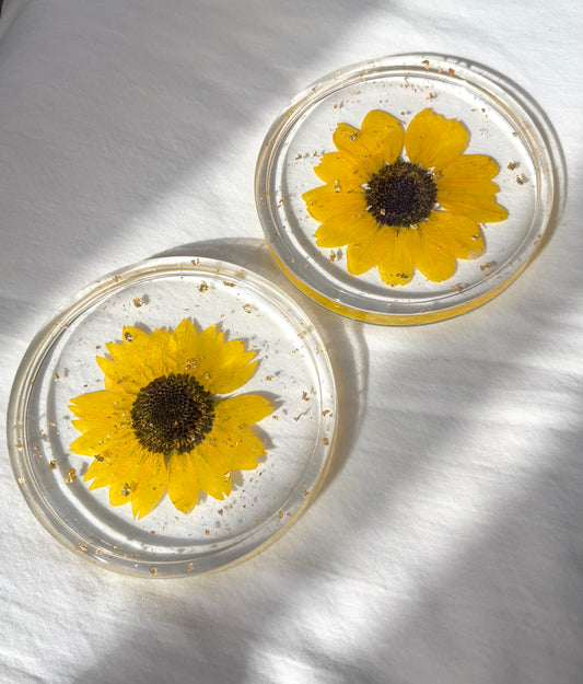 Sunflower Coasters
